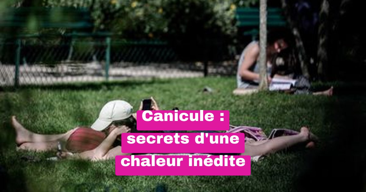 Canicule record : 350 records battus, 8 départements en alerte