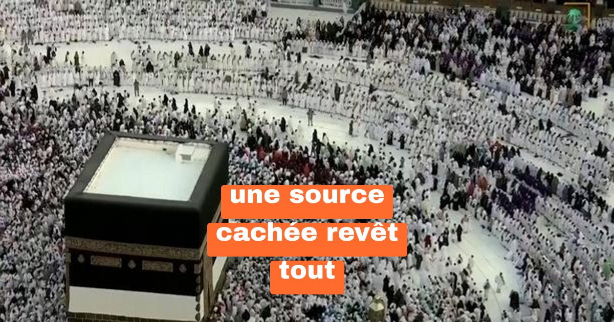 45 °C sous le soleil saoudien : le hadj qui défie l’impossible