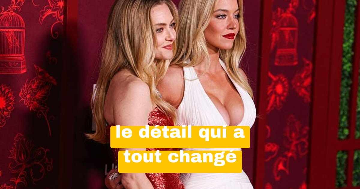 Amanda Seyfried révèle le secret qui a explosé la polémique American Eagle