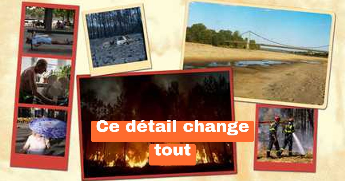 France : cet été, un détail caché a tout changé pour des millions