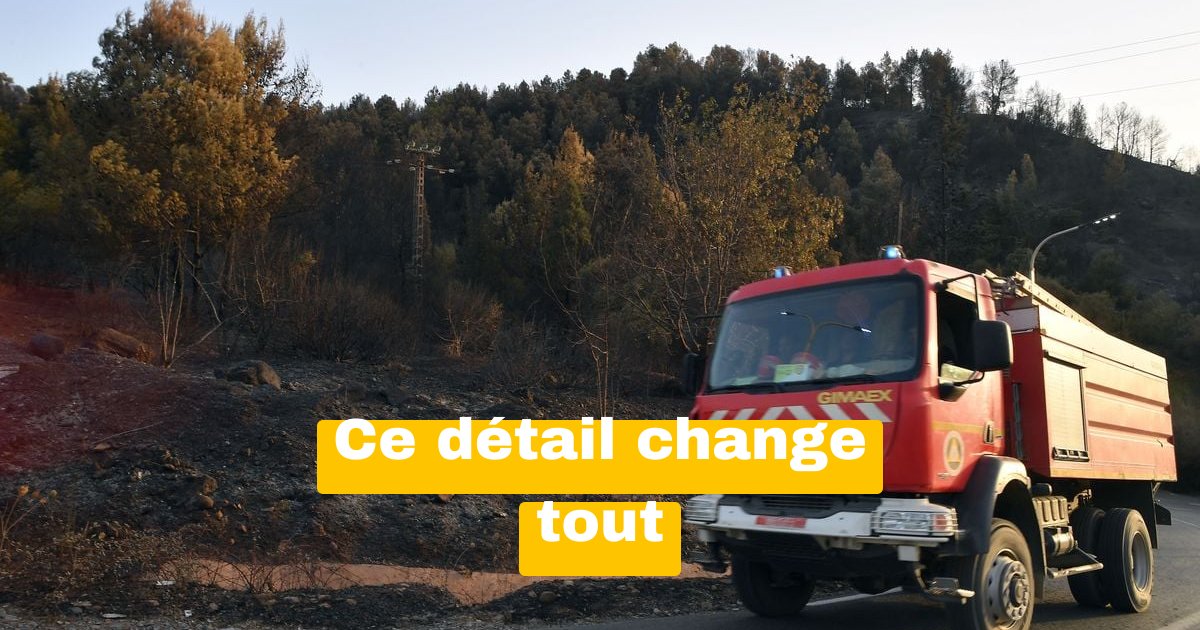 Incendies en Algérie : ce détail qui explique les 12 morts